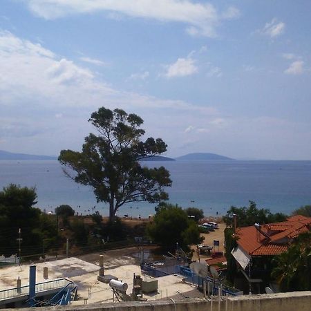 Tolo Beach Studios מראה חיצוני תמונה
